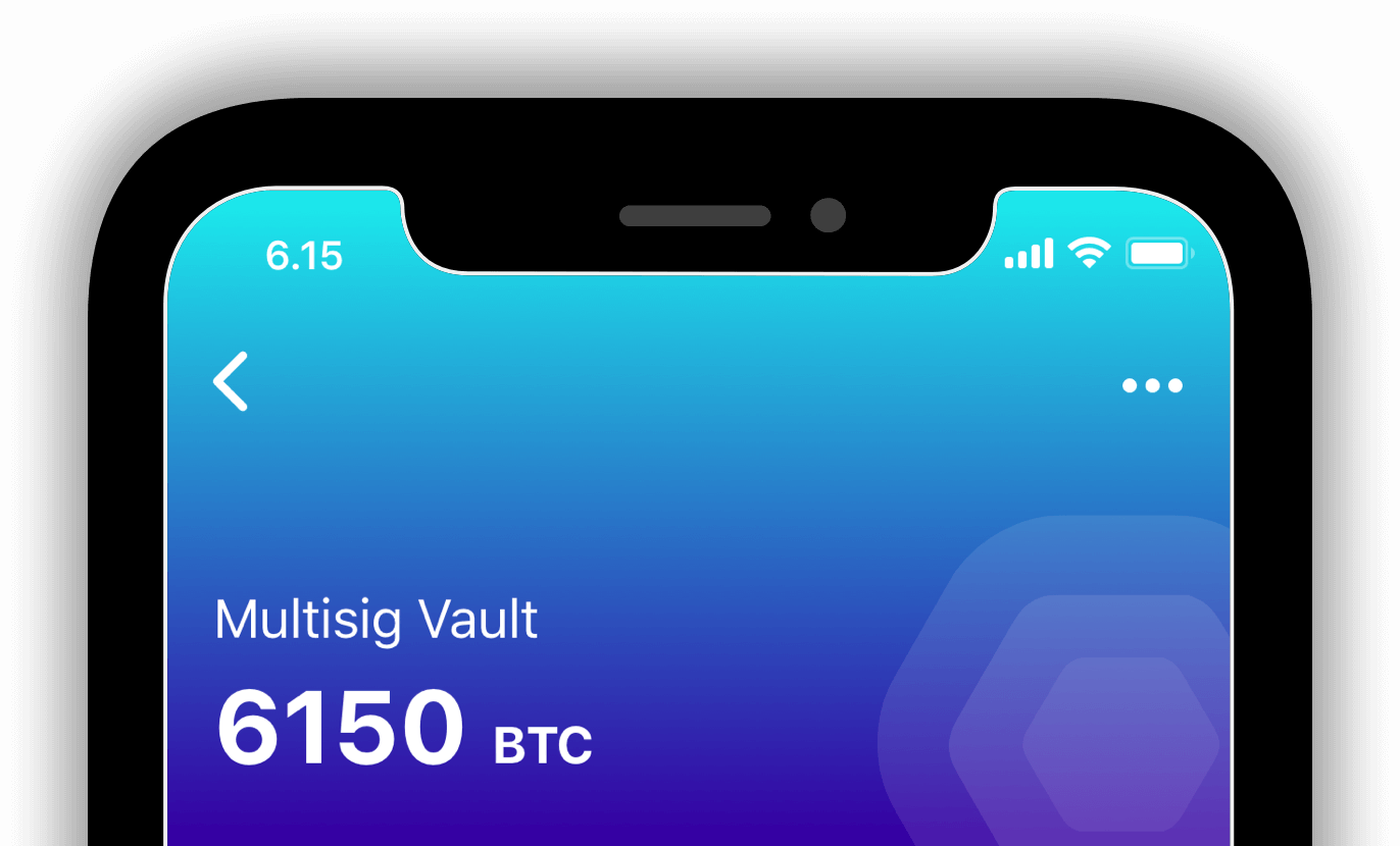 Bluewallet Bitcoin wallet app interface guide
